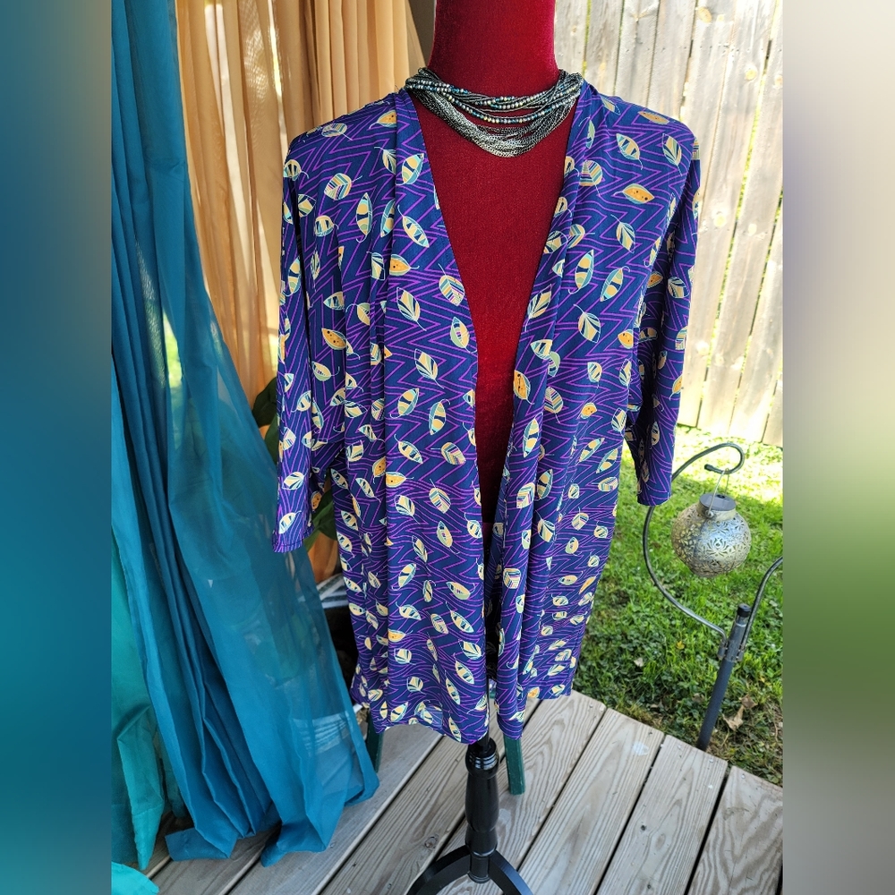 Modern Duster - Picture 4 of 8
